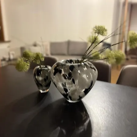 Appartement Alberti Platz Davos